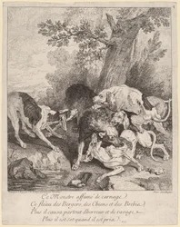 A Wolf Attacked by Dogs