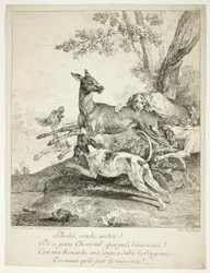 Deer Attacked by Dogs