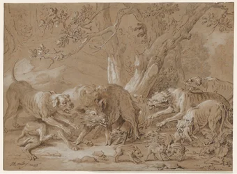 Wild Sow and Her Young Attacked by Dogs