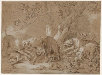 Wild Sow and Her Young Attacked by Dogs