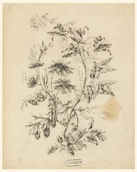 Bough of a Fantastic Tree