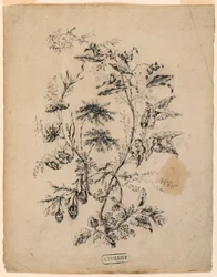 Bough of a Fantastic Tree, 1775–1800
