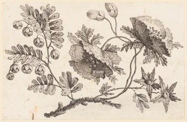 Flower Bough, from "Recueil de Fleurs Chinois"