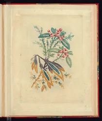 Ornamental Design with Small Red Flowers and Berries, from Nouvelle suite de cahiers de flerurs naturelle a l