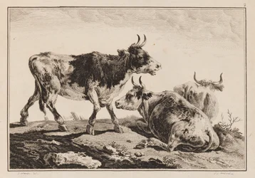 Plate 2 (from Cahier de Six Feuilles de Boeufs et Vaches)