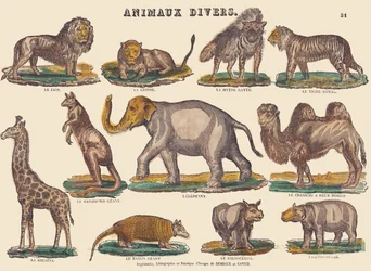 Various animals, c.1840-1852
