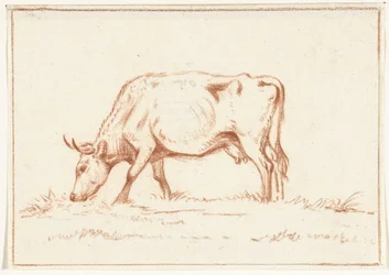 Grazing Cow, Facing Left