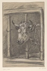 Head of a Cow, through the Bars of a Stable