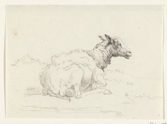 Lying Sheep, to the right