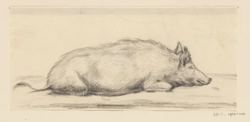 Lying Pig, Facing Right