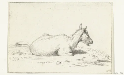 Lying Goat, to the Right