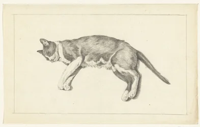 Lying Cat, Facing Left, Seen from Above