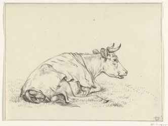 Lying Cow, Facing Right