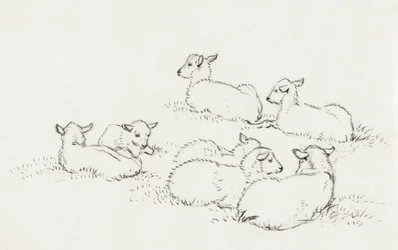 Six Lying Lambs