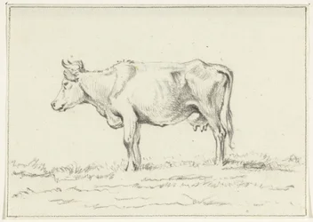 Standing Cow, Facing Left