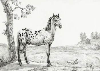Standing Mottled Horse