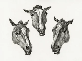 Three Horse Heads