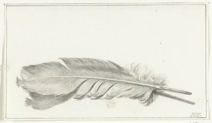 Feather