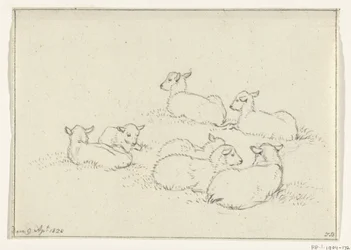 Six Lying Lambs
