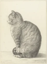 Sitting Cat, Facing Left