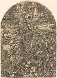 The Babylon Harlot