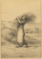 Harvest Scene