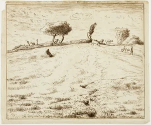 Landscape - Hillside in Gruchy, Normandy