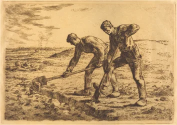 The Diggers
