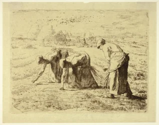 The Gleaners