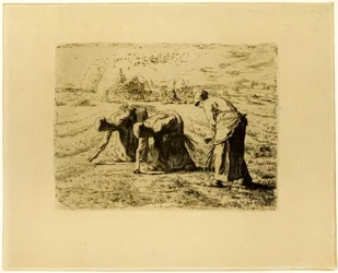 The Gleaners