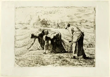 The Gleaners