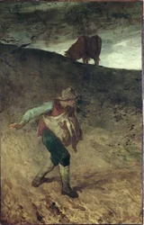 The Sower
