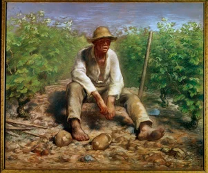 The Winemaker, 19th century, The Hague, Rijksmuseum