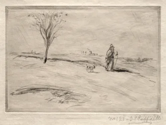 The Camel