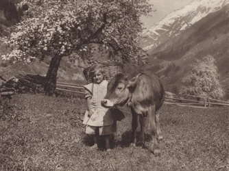 Switzerland: The Younger Generation