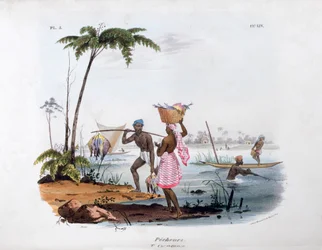 Fisherman
