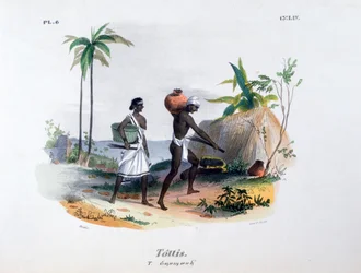 Tottis