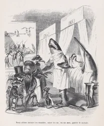 We are going to incise the muscles, saw the bones, in a word, heal the sick from Sc, ca. 1837-47
