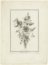 Bouquet of Anemone and Bindweed (title on object) Anemones simples, Volubilis (series title) IIe Cahier de Bouquets