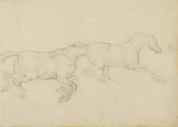 Two Horses Galloping to the Right