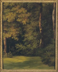 A Woodland Clearing