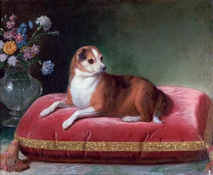 The Bitch on a Cushion