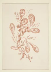 Untitled (Ideal Flowers), from a set of six