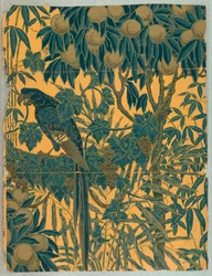 Sidewall, Macaw, 1908