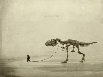 The Walk