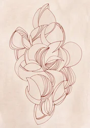 Elegant Flowing Curves