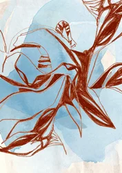 Flowing Botanical Sketch