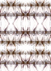 Organic Symmetrical Pattern