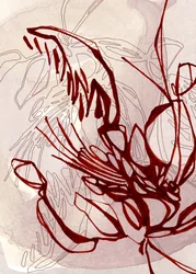 Red Organic Bloom