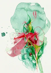Vibrant Abstract Bloom